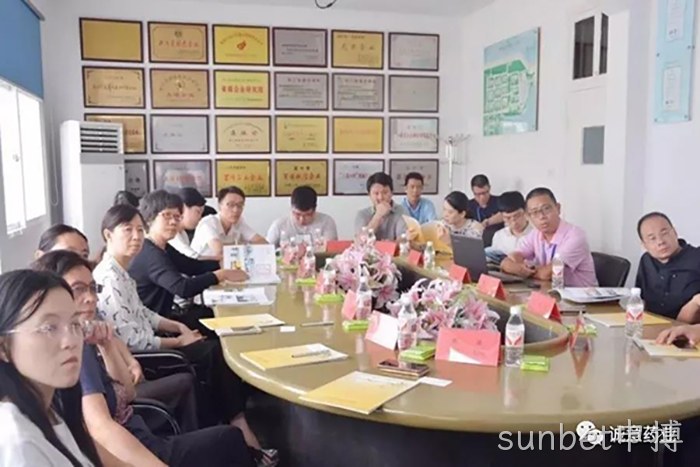 国家自然资源部沈君副司长一行来sunbet申搏调研